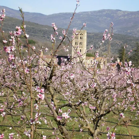 Catalane 412, Ideale Rando Daire *